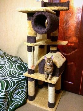 Дом для котят К-17