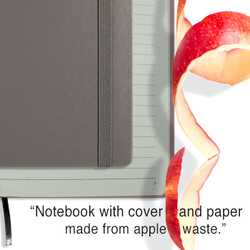 cover and inside of notebook_gray_apple