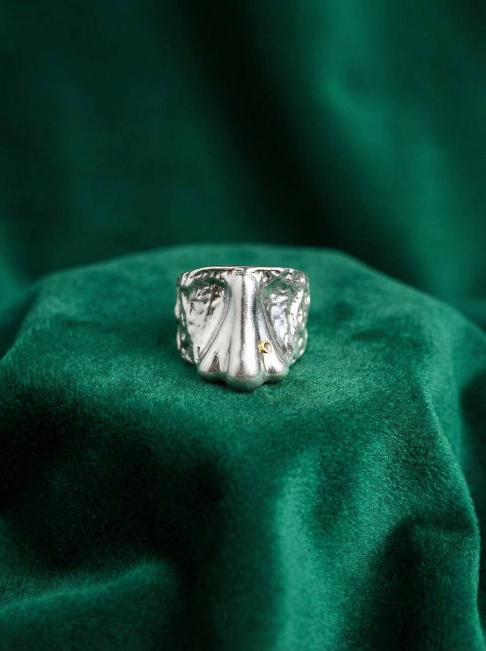 Кольцо нос Ван Гог