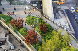 Gardens of the High Line. Piet Oudolf, Rick Darke