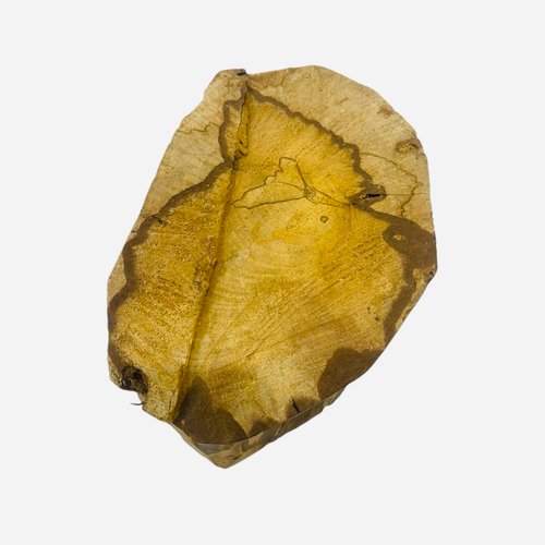 Насыщенный пенек дерева пало санто 1282 грамма