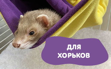 Гамаки и аксессуары для хорьков