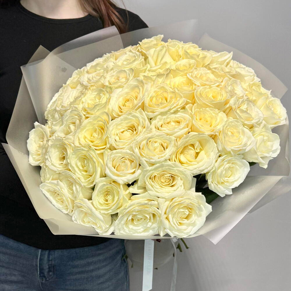 51 белая Роза премиум