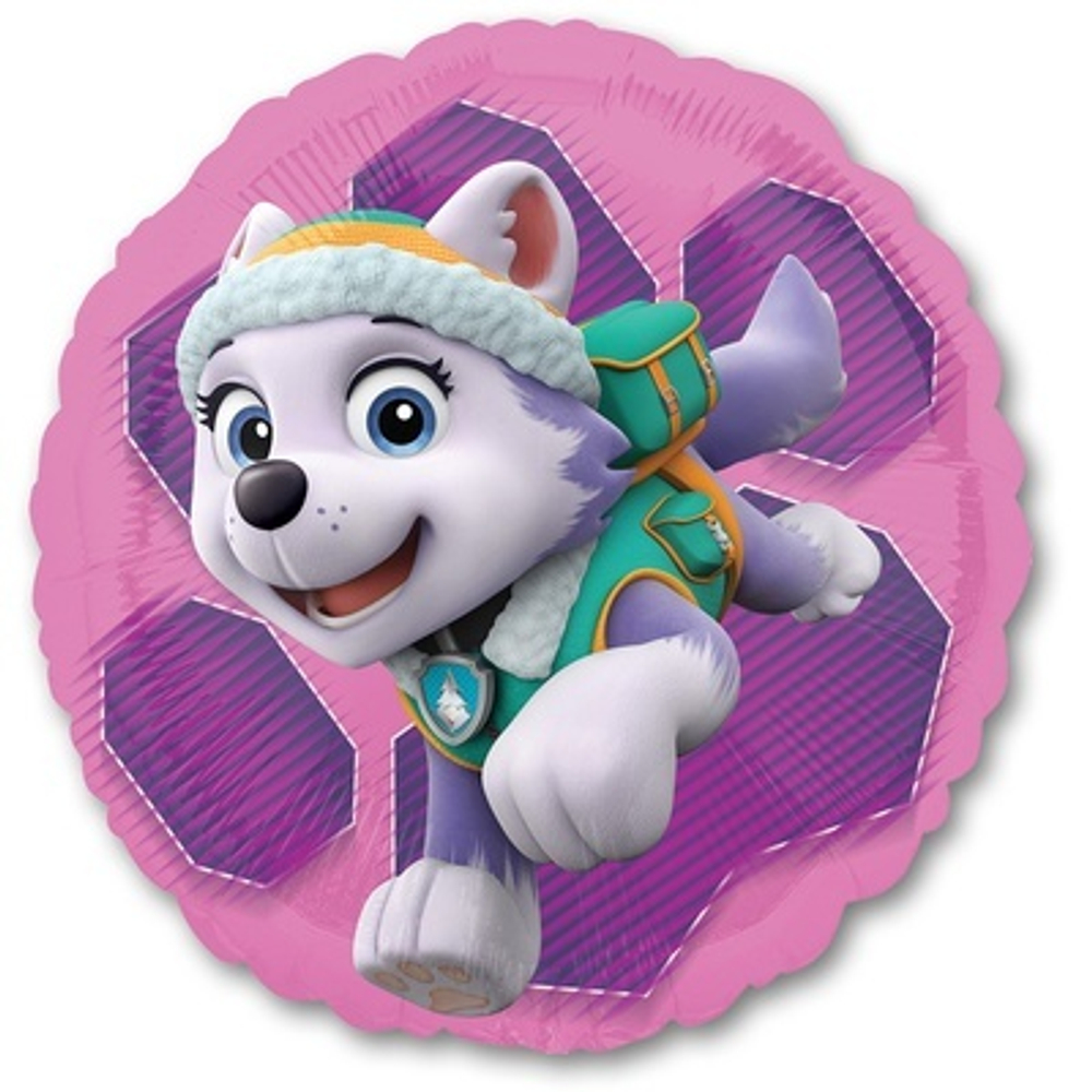 А 18" Щенячий Патруль Скай и Эверест S60