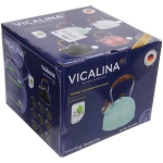 Чайник из нержавеющей стали 2,5л «Vicalina» Мирель мятный VL-9236