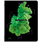 Тетради предметные комплект 12 ПРЕДМЕТОВ 48 л. глянцевый УФ-лак BRAUBERG "PIGMENT" (2 штуки в упаковке)