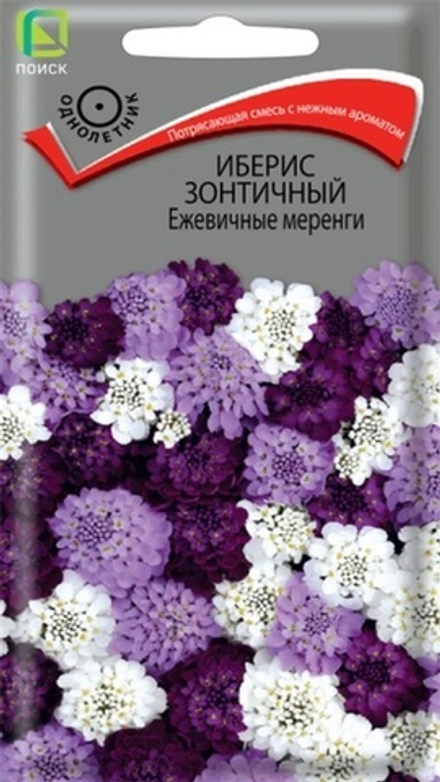 Иберис зонтичный "G. Ежевичные меренги" 0.1г., Россия.