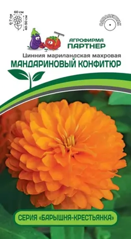 ЦИННИЯ МАНДАРИНОВЫЙ КОНФИТЮР / МАРИЛАНДСКАЯ МАХРОВАЯ (ПАРТНЕР)