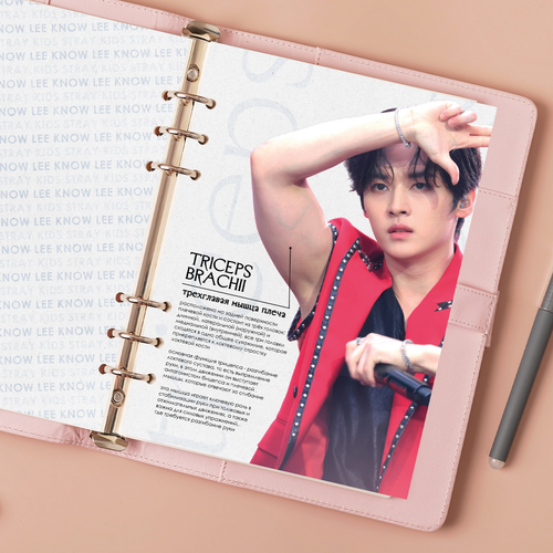 Принт / Разделитель А5 / STRAY KIDS / Минхо (Lee Know)