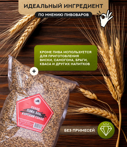 "СОЛОД ПЭЙЛ ЭЛЬ", Курский солод