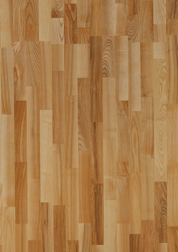 Спорт Турнир Ясень