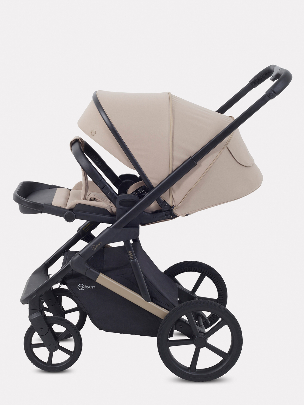 Коляска 2 в 1 Rant Garda