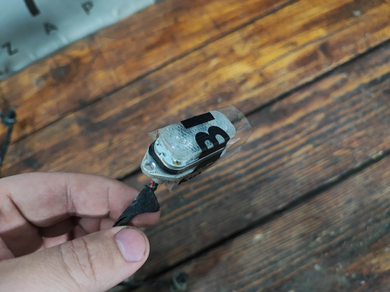 Проводка заднего бампера Chery Tiggo 8 Pro 21-нв Б/У Оригинал 806004445AA