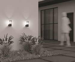 Уличный настенный светильник Outdoor O432WL-01GF