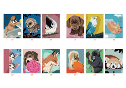 Hachette раскраска по номерам Coloriages mystères - Animaux adorables