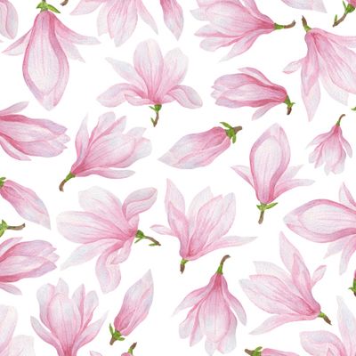 Розовая магнолия