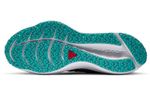 Кроссовки Nike Zoom Winflo 7 Shield (Женская размерная сетка)
