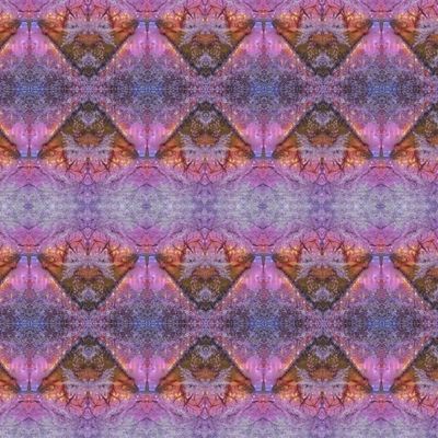 Цветущая сакура.