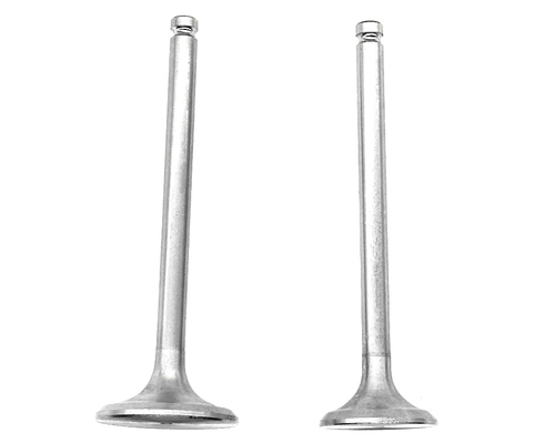 Клапаны впуск/выпуск TY295