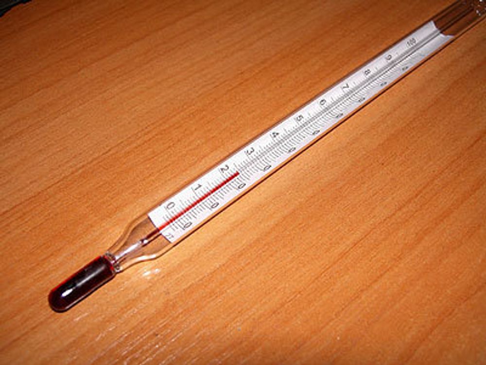 Термометр-градусник для газового котла АОГВ-11,6 Эконом ЖМЗ