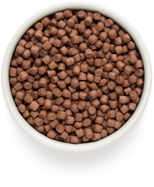 Grandorf Fresh Dog Potato корм сухой беззерновой для собак мелких пород ягненок,батат