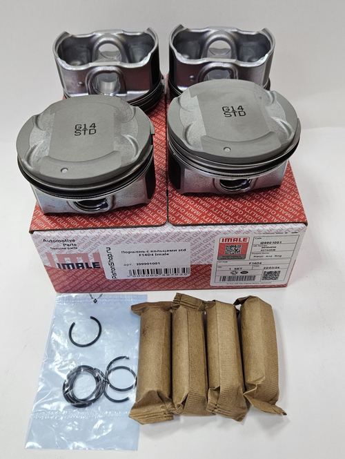 Поршни с кольцами STD F14D4 IMALE