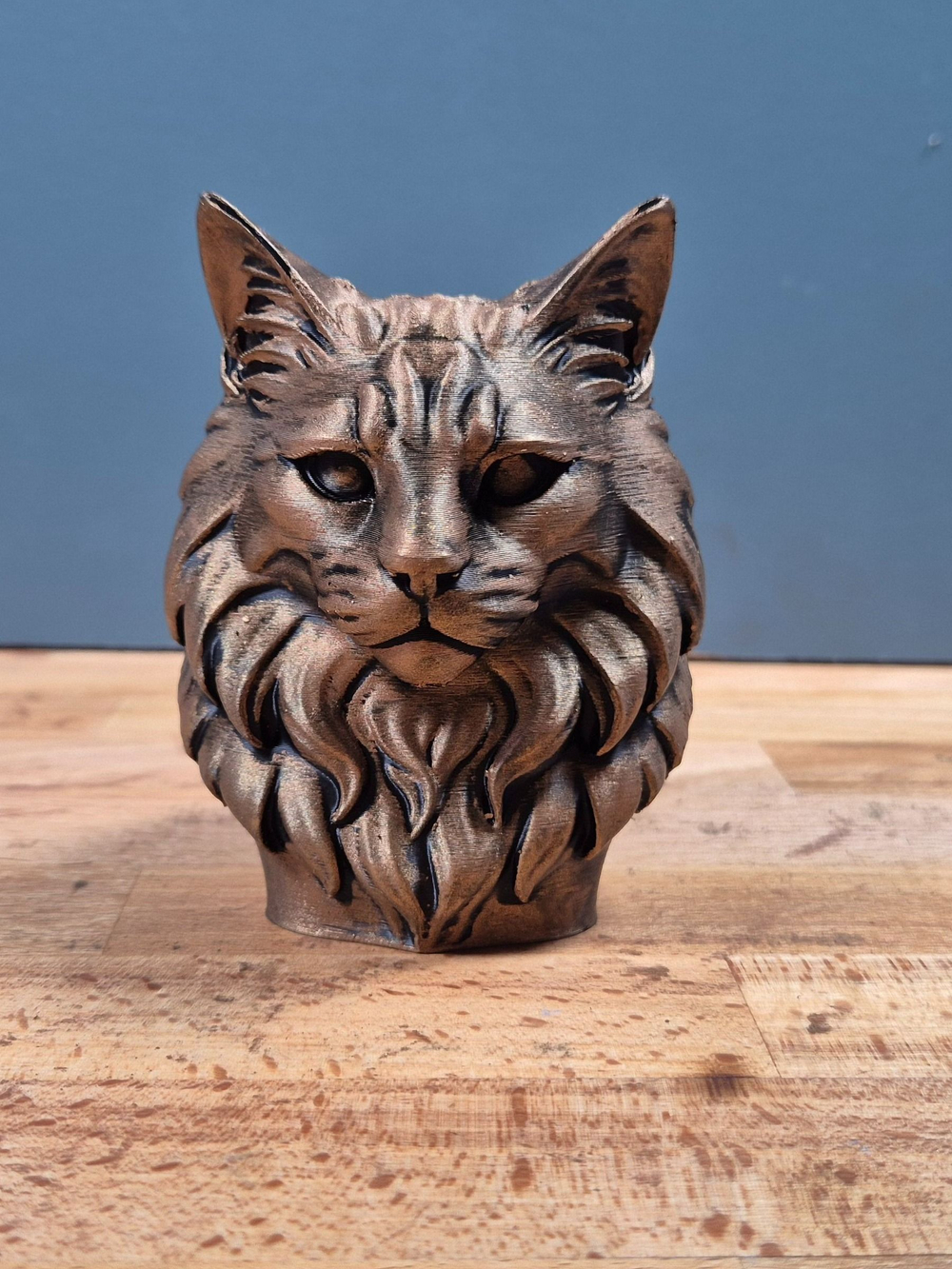 Норвежская лесная кошка