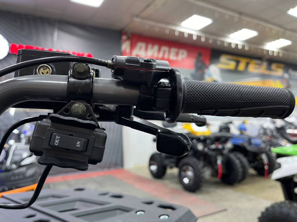 Квадроцикл PROMAX RENEGADE 280 LONG WINCH PRO (2025)