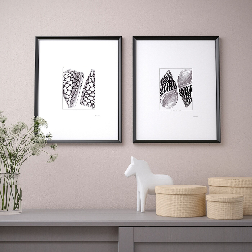 IKEA BILD  (ИКЕА БИЛД)  -  Плакат, черные раковины, 40x50 см