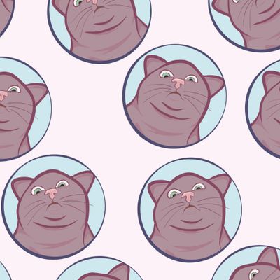 смешные морды котов