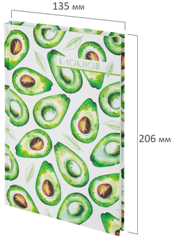 111598 Блокнот А5 134х205 80л АВОКАДО STAF