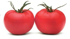 Пинк Парадайз F1 семена томата индетерминантного (Sakata / ALEXAGRO) (50 шт.)