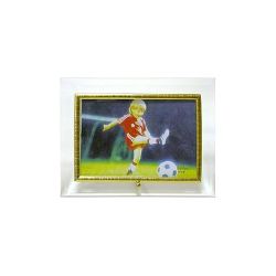 GT 134/G горизонтальная прямая 10*15 | GT