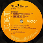 Andromeda / Andromeda (LP)