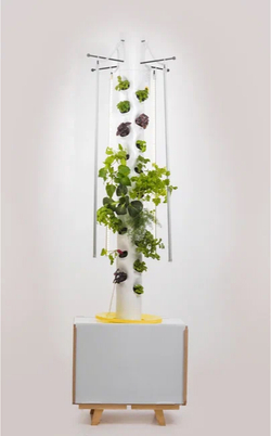 КЛО «Типы почв и рост растений 1.0» с принадлежностями