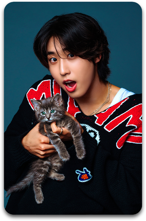 Карта / STRAY KIDS #3413