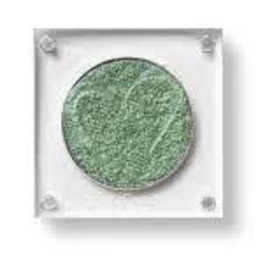 Beauty Creations Одиночные тени Alien Suit