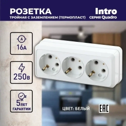 Розетка Intro Quadro 2-206-01 с заземлением трехместная 3х2P+E 16А-250В IP20 открытой установки белая