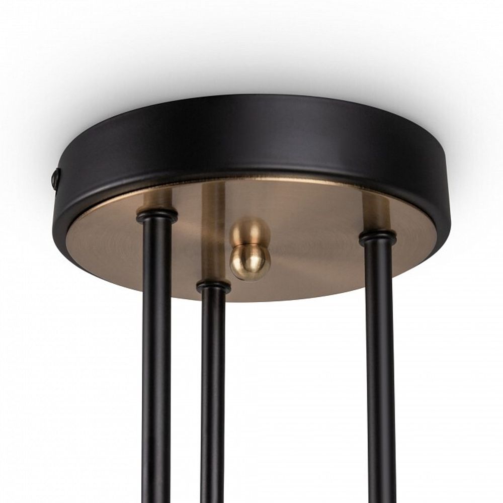 Потолочная люстра Freya Bogy FR5377CL-06B