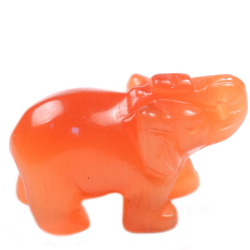 Слон улексит асс.