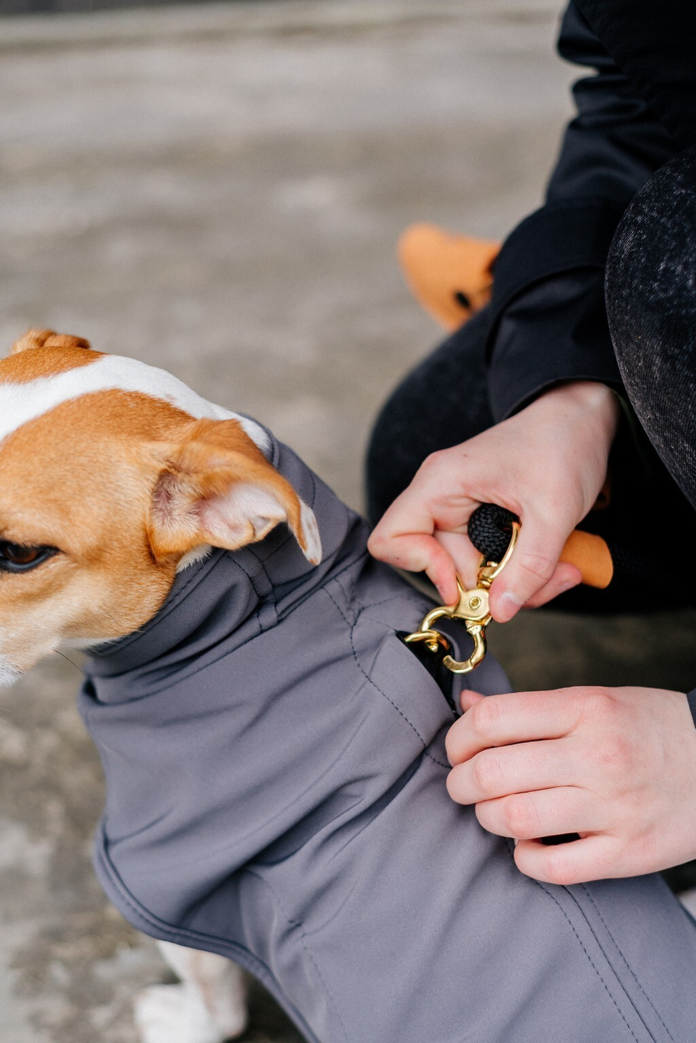 Попона "Пони-попони" темно-серая
