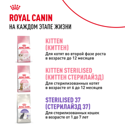 Сухой корм ROYAL CANIN Kitten Sterilised для стерилизованных котят с момента операции до 12 месяцев - 2 кг