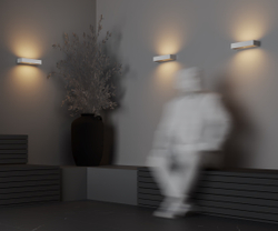 Уличный настенный светильник Outdoor O428WL-L20W3K