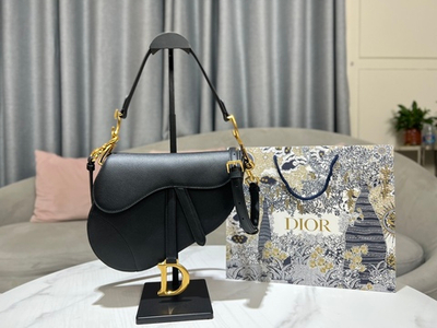 Christian Dior Saddle 25 cm