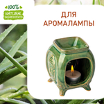 Алоэ вера, отдушка для свечей и мыла