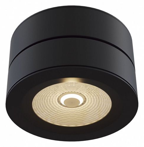 Накладной светильник Maytoni C023CL-L20B