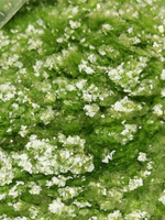 Хлопья - слюда 88306 Нежная мята прозрачный глянец - для литья изделий и творчества