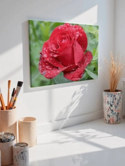 Картина на стену 40 X 50 Роза