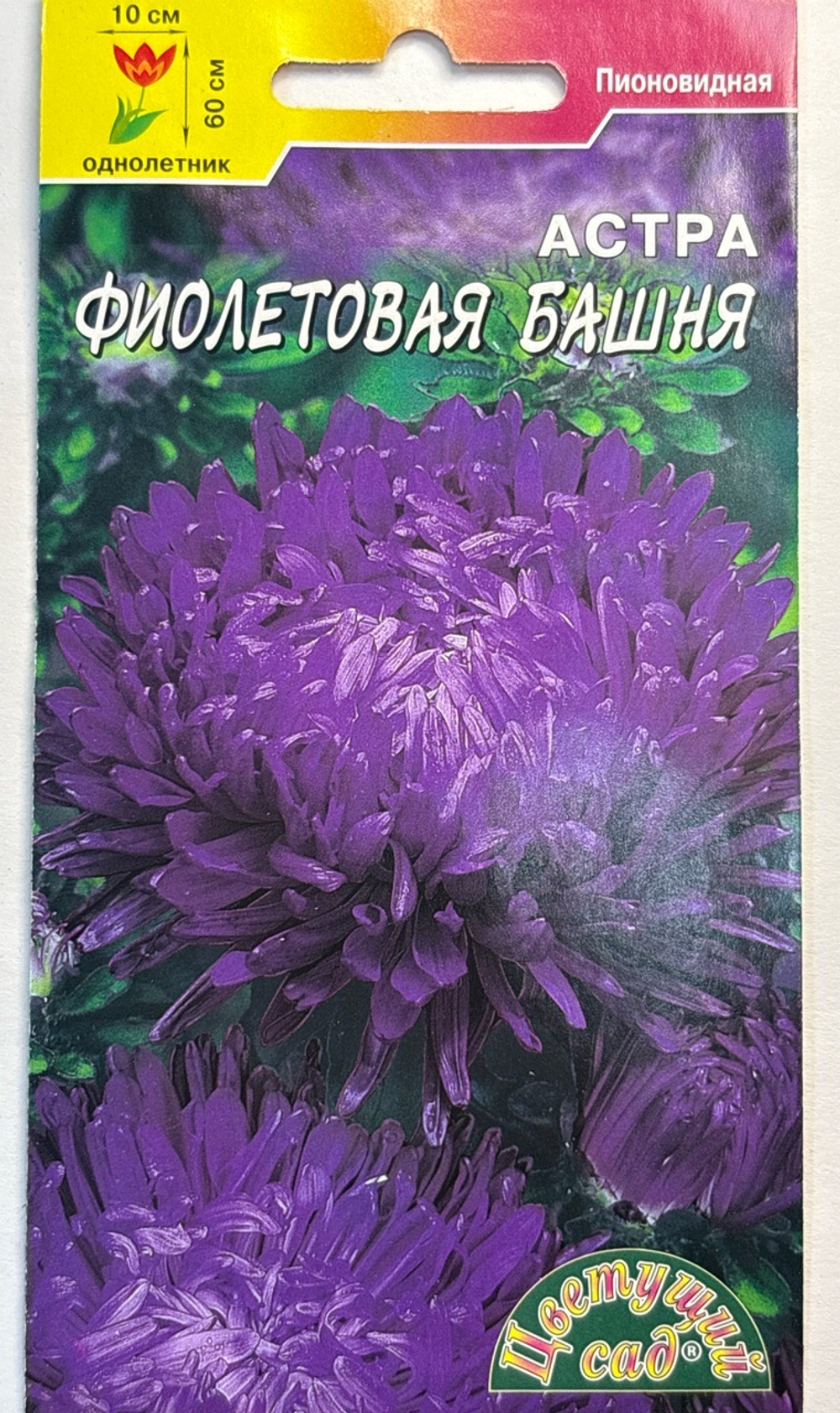 Астра Башня фиолетовая 0,2 г пионовидная СМЦ-418