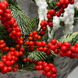 «Северная ягода» букет из нобилиса (ели) и Илекса